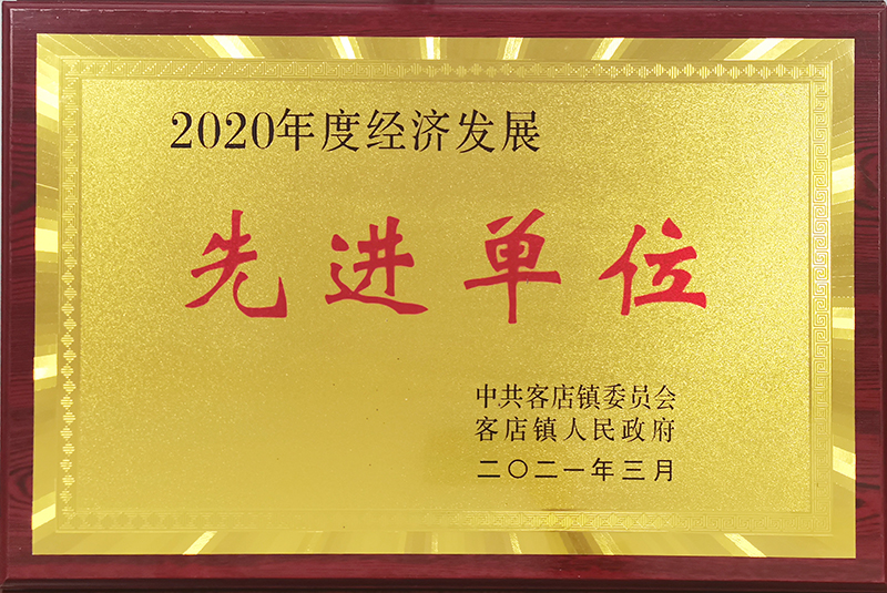 2020年度經(jīng)濟發(fā)展先進單位
